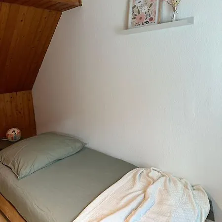 Casita Gruen Ferienhaus Worms