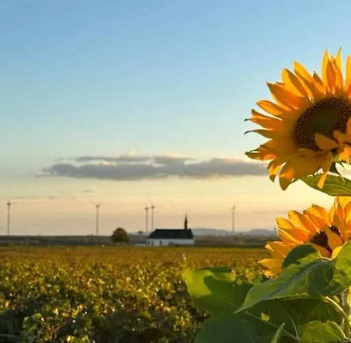 Casita Gruen Semesterbostad *